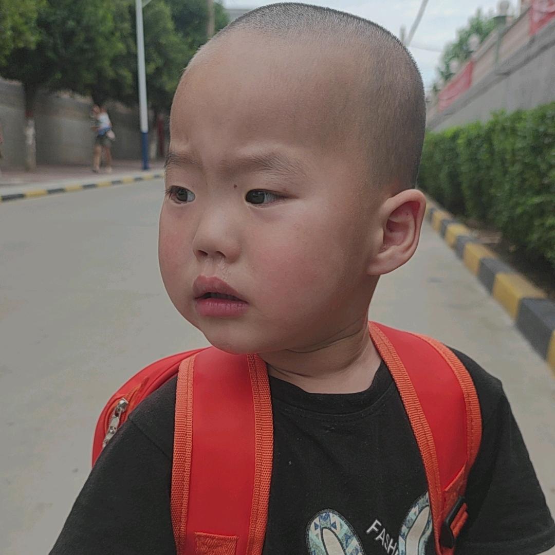 小馬哥