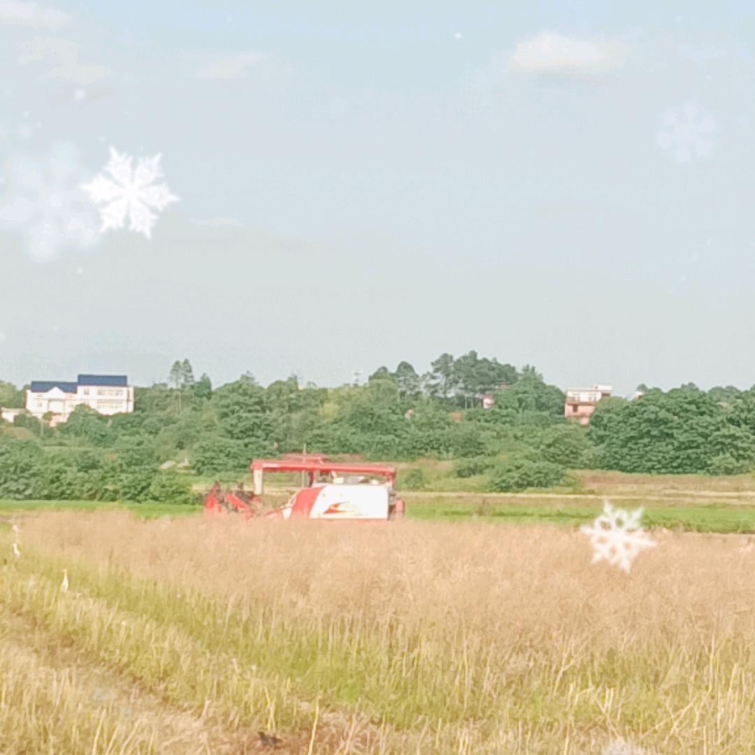 农业小李