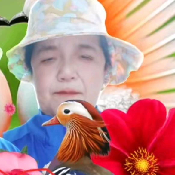 罗宗桂