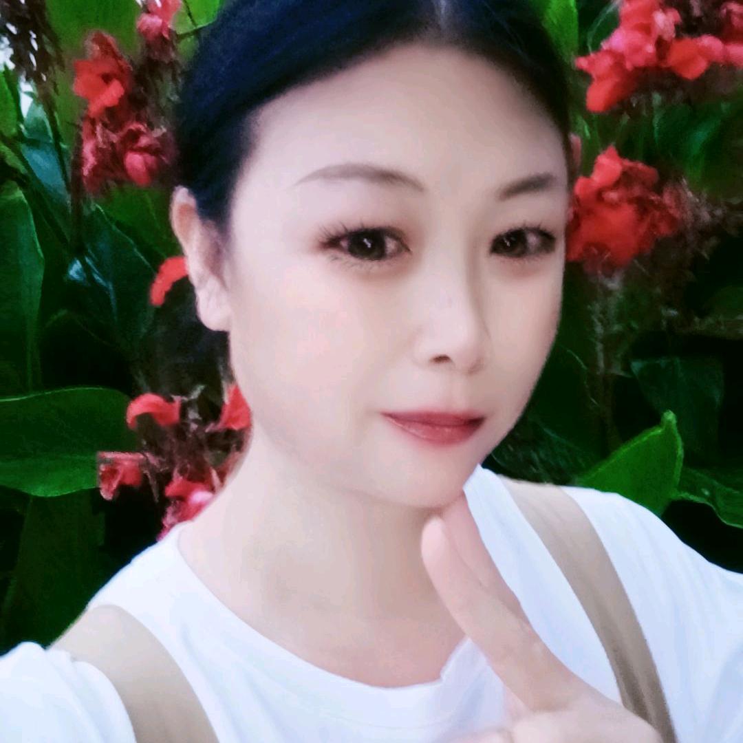 用户梅花