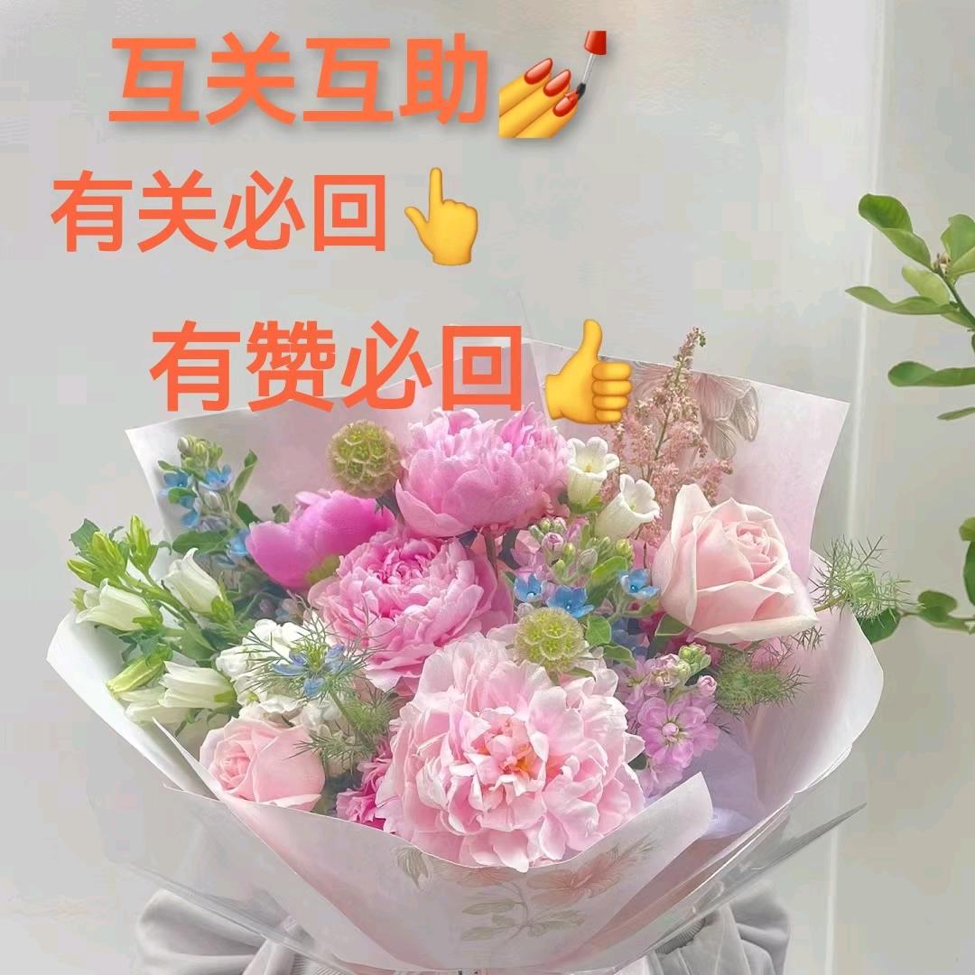 斯奥（收图