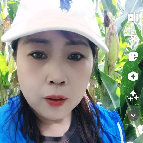 田丰宋姐