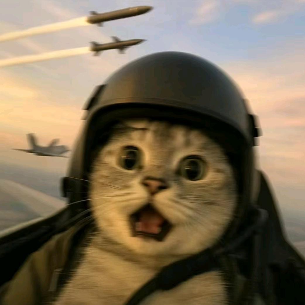 孜然脆皮鸡米饭