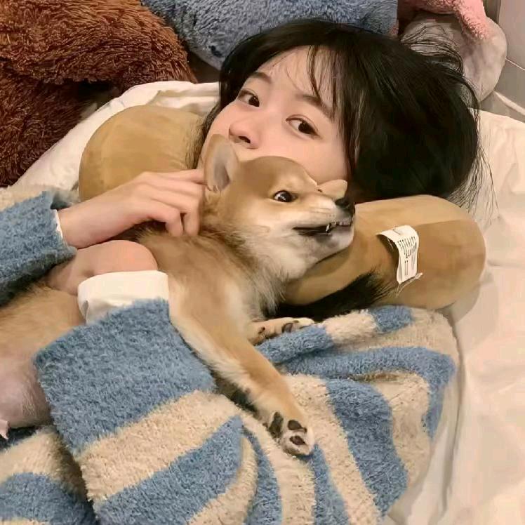 -土豆🥔