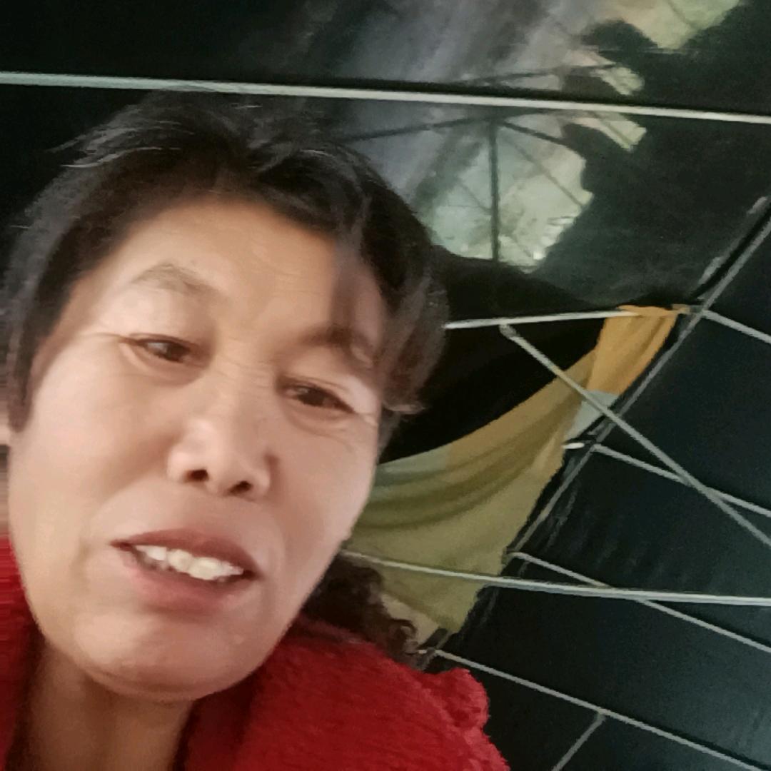 我的世界你不一样