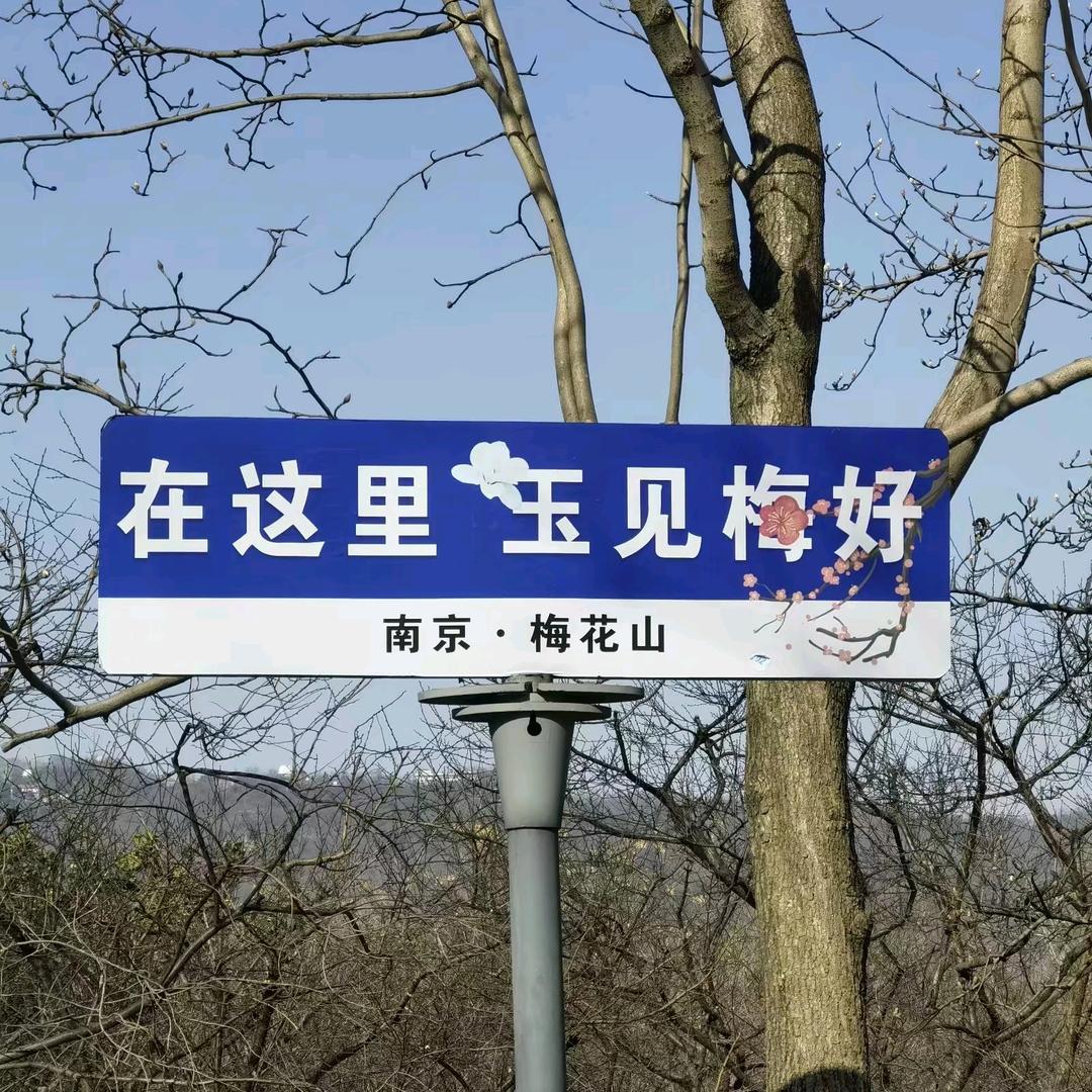 💰金囍ོ 🌸⃟֯