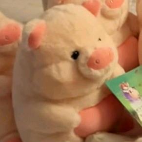 不要盗我🐷