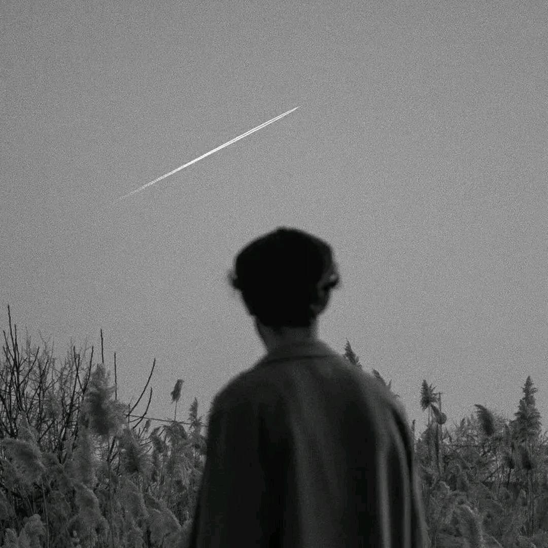 酷呆呆（热门伴奏）