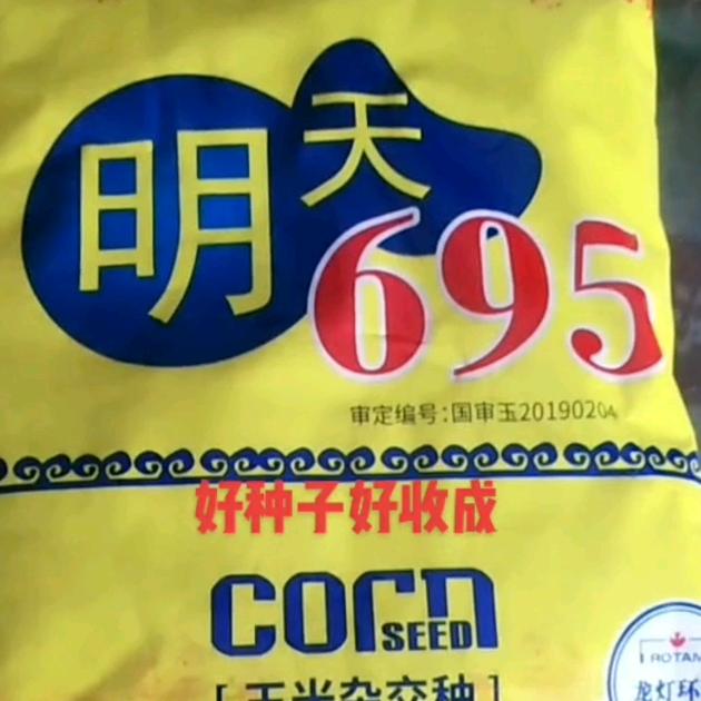 茂施，明月，美盛