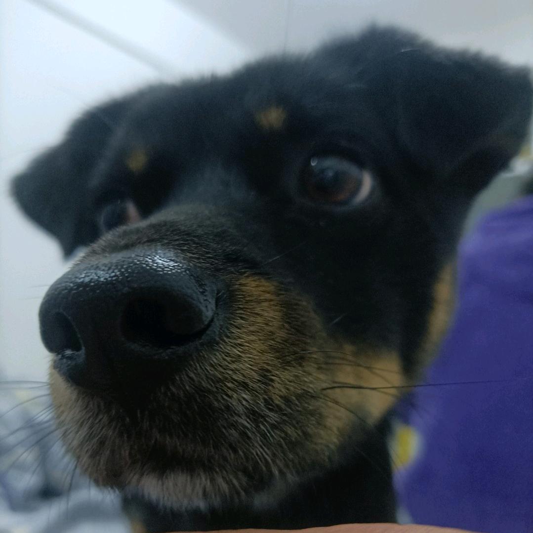 土豆土豆土豆片