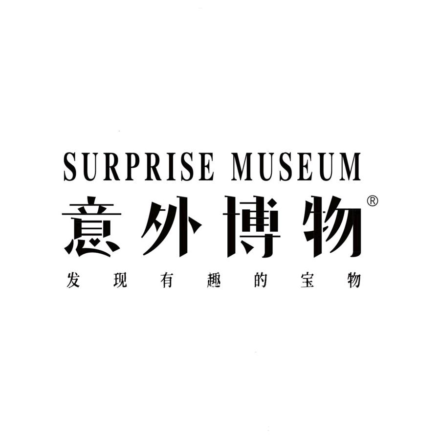 意外博物