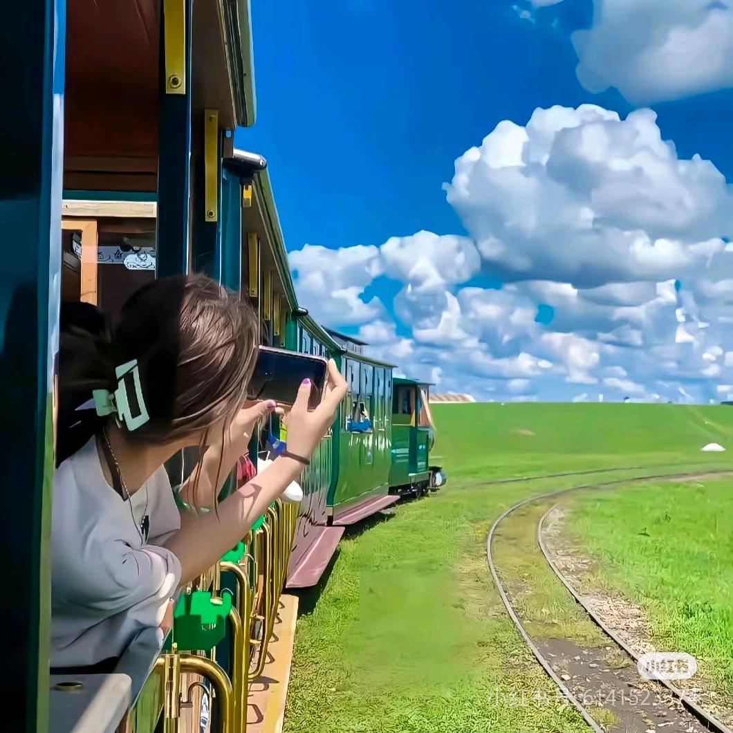 大鹏一日同风起