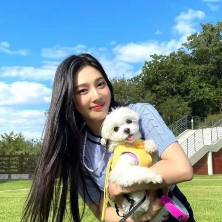 猫猫环