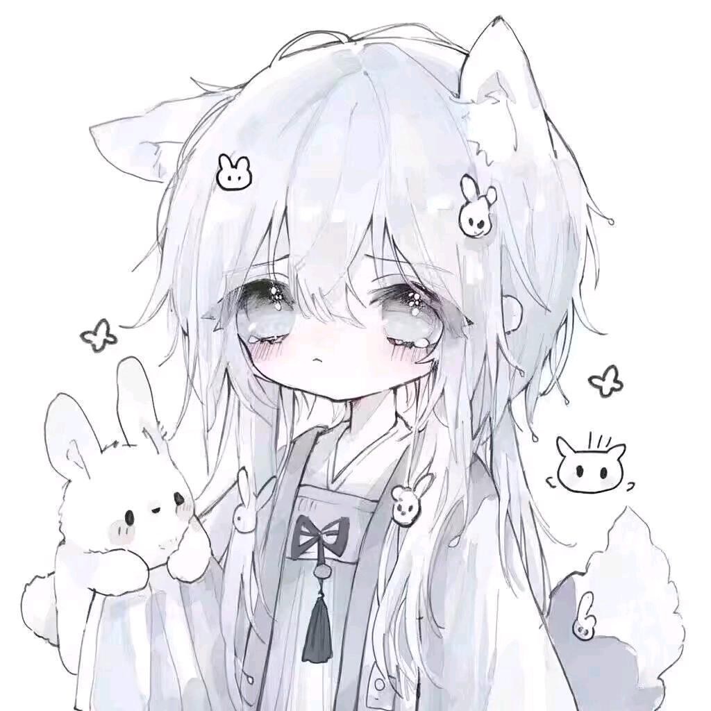 会后空翻的喜洋洋