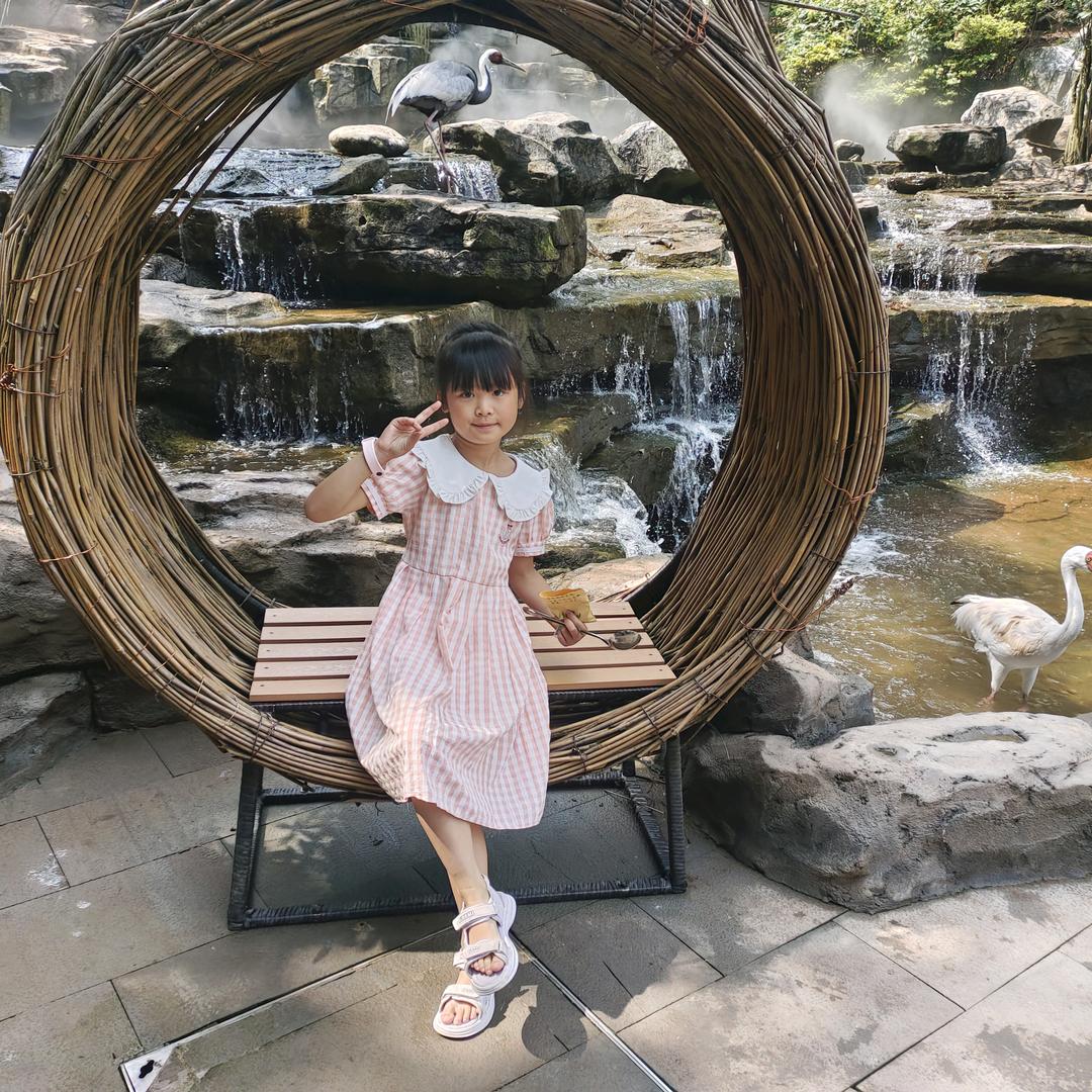 用户7119780267085预涂