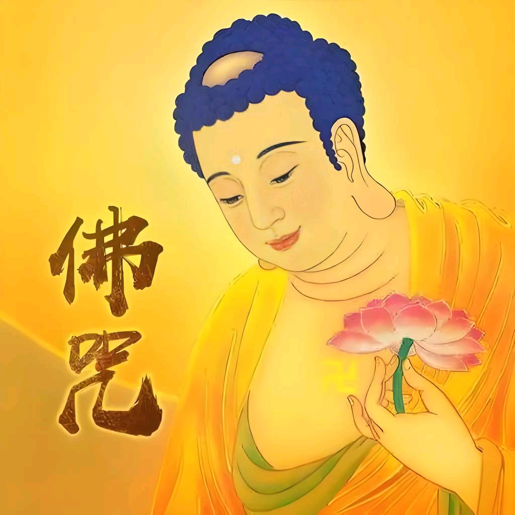 文书梵音🙏