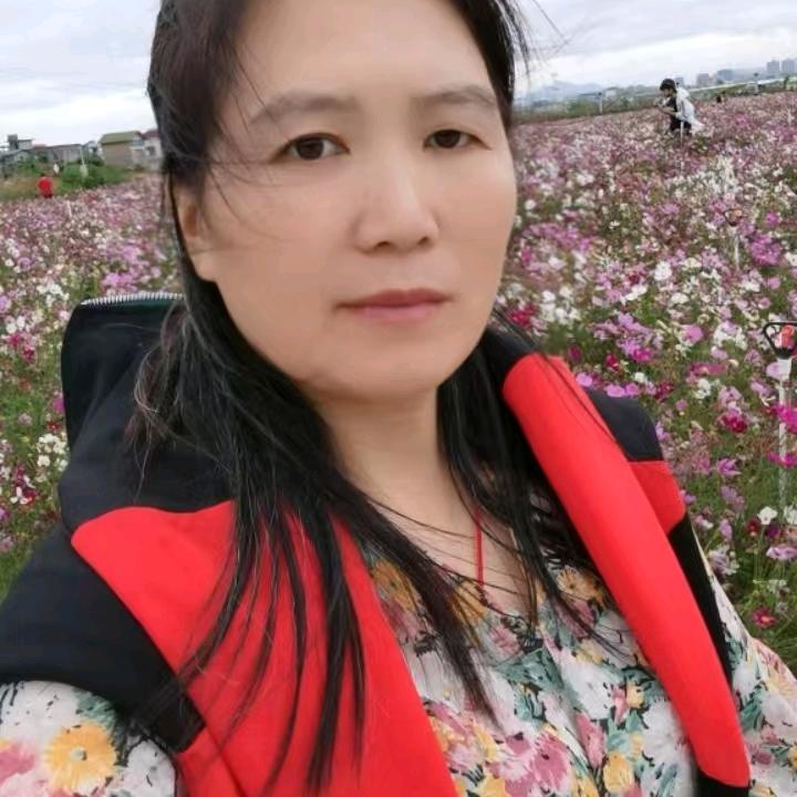 四姐姐