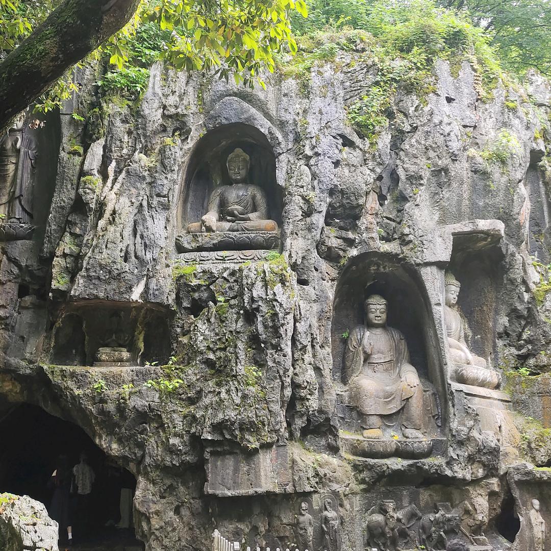 清清分享吖
