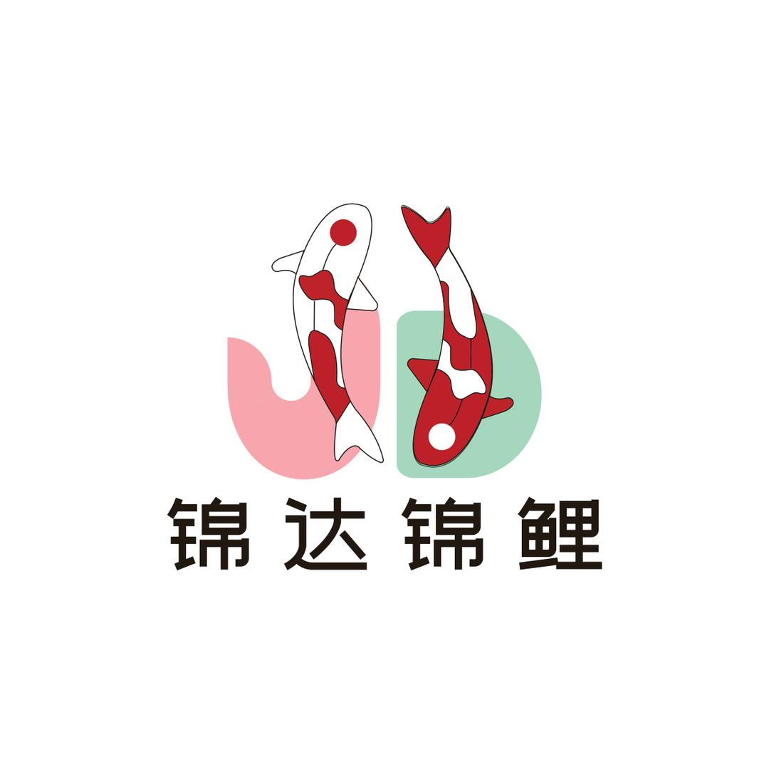 锦达锦鲤