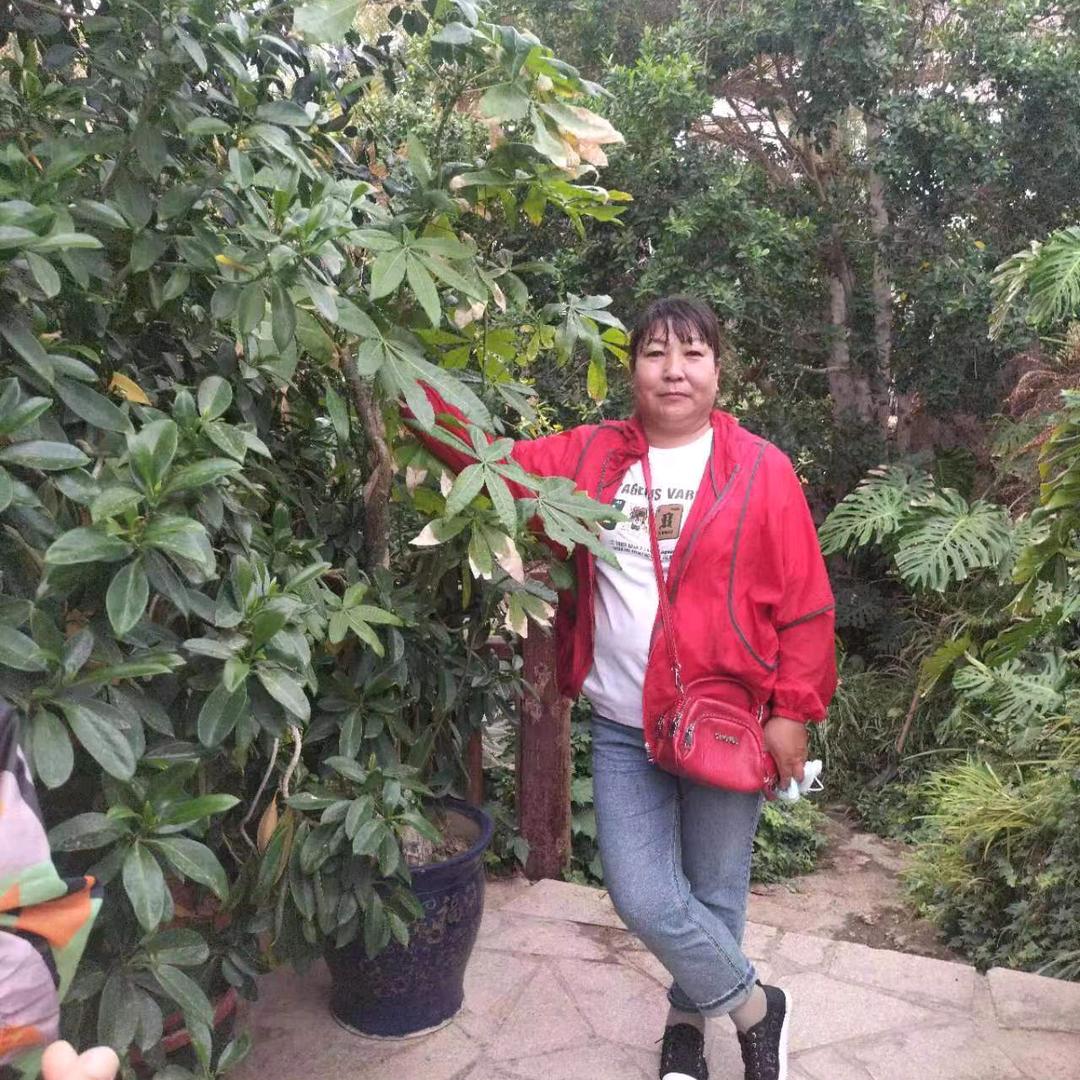 心语