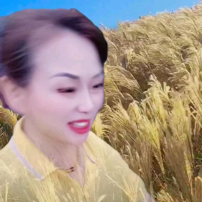 李睿  好物分享