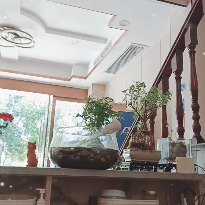 有钱酷盖到皖里来