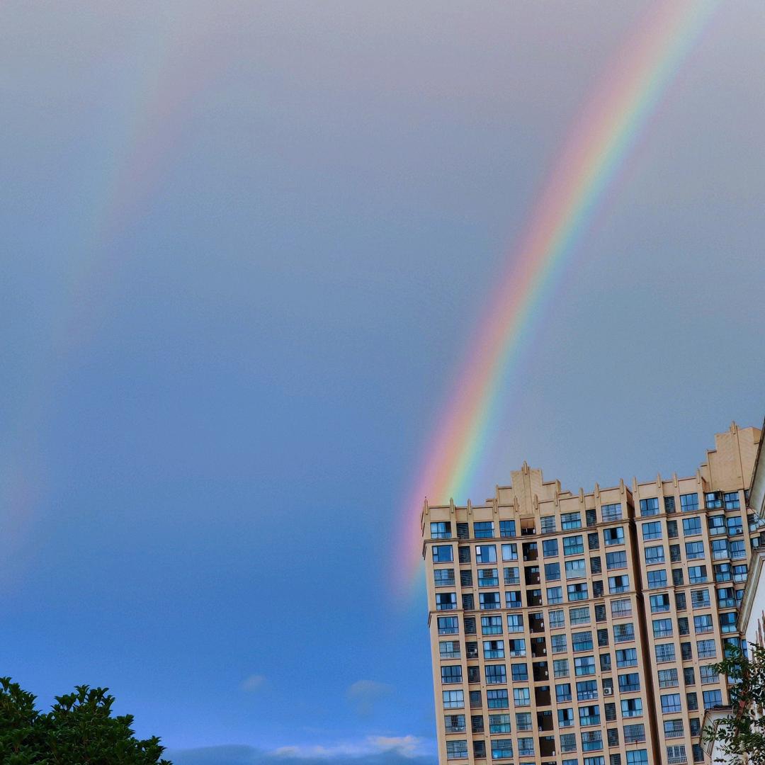 梦中的你救赎我