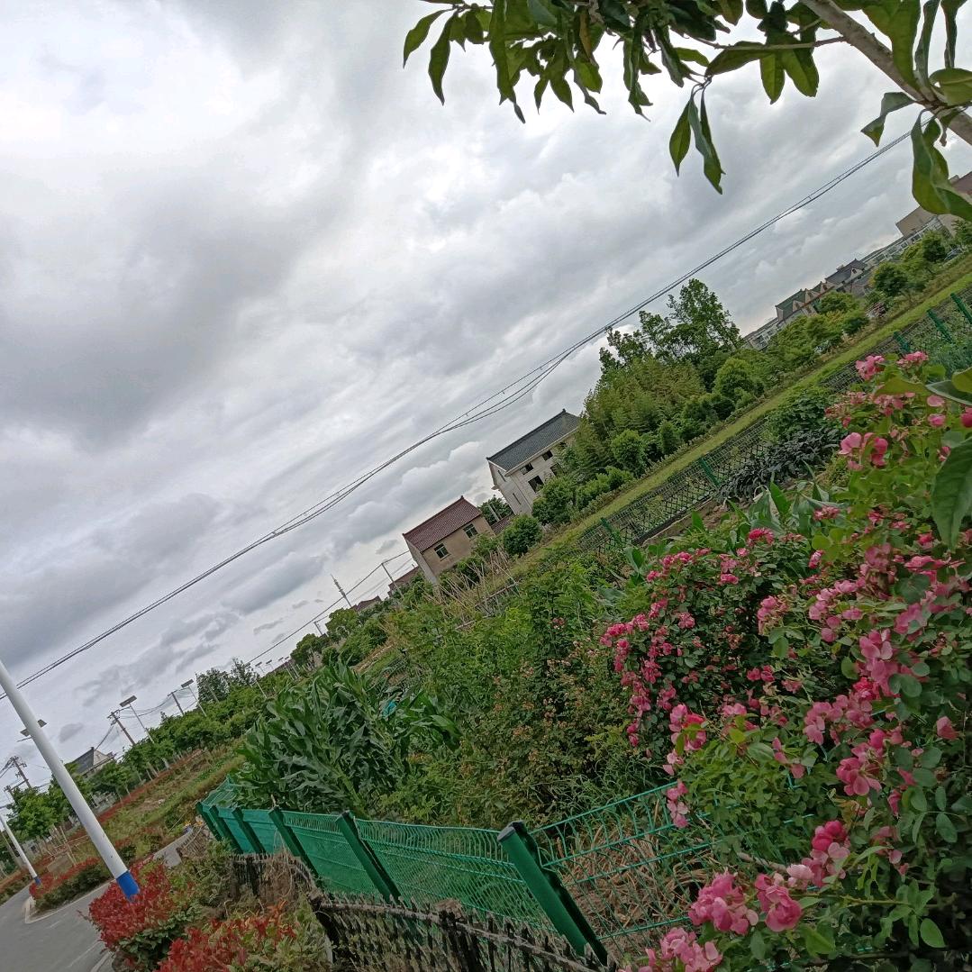 烟花再美，也只是一瞬间