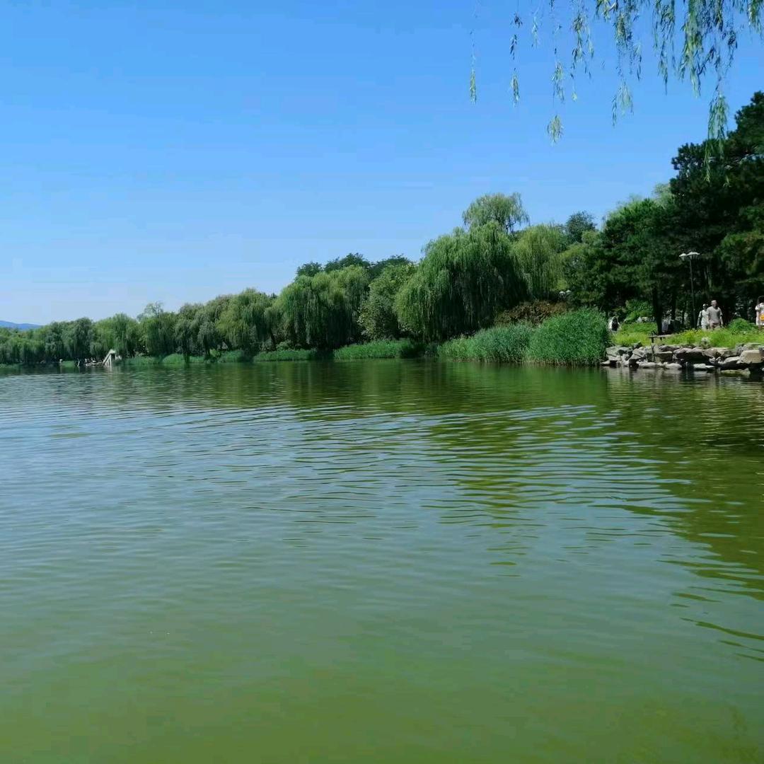 对方正在输入中…