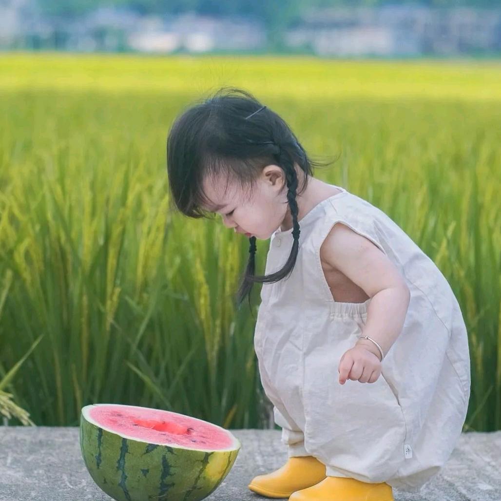加油哒鸭