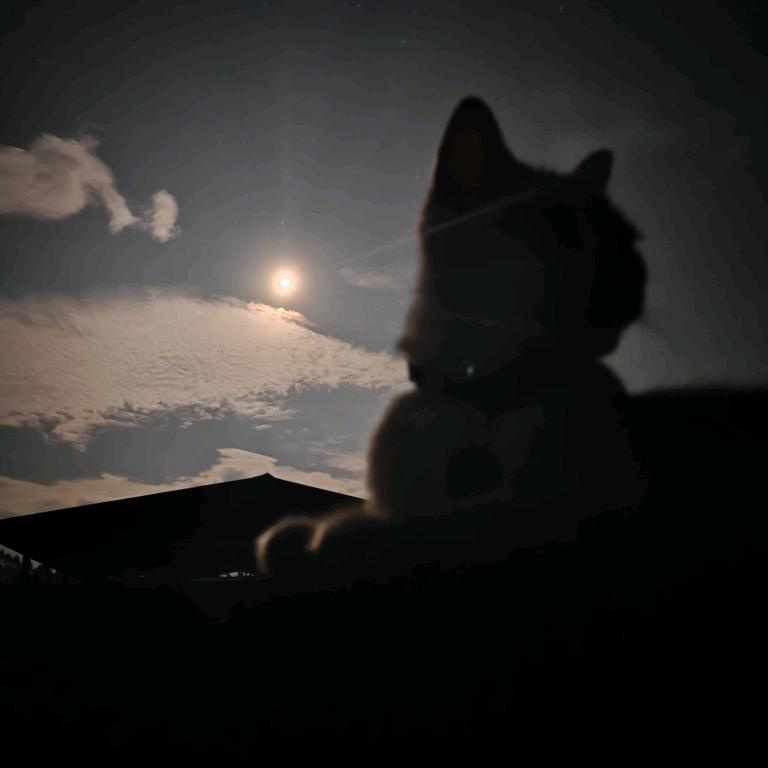 小财迷 ૮₍ ˶•ᴗ•˶₎ა