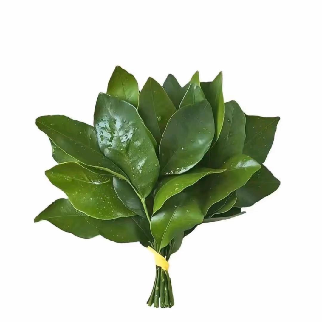 大佬