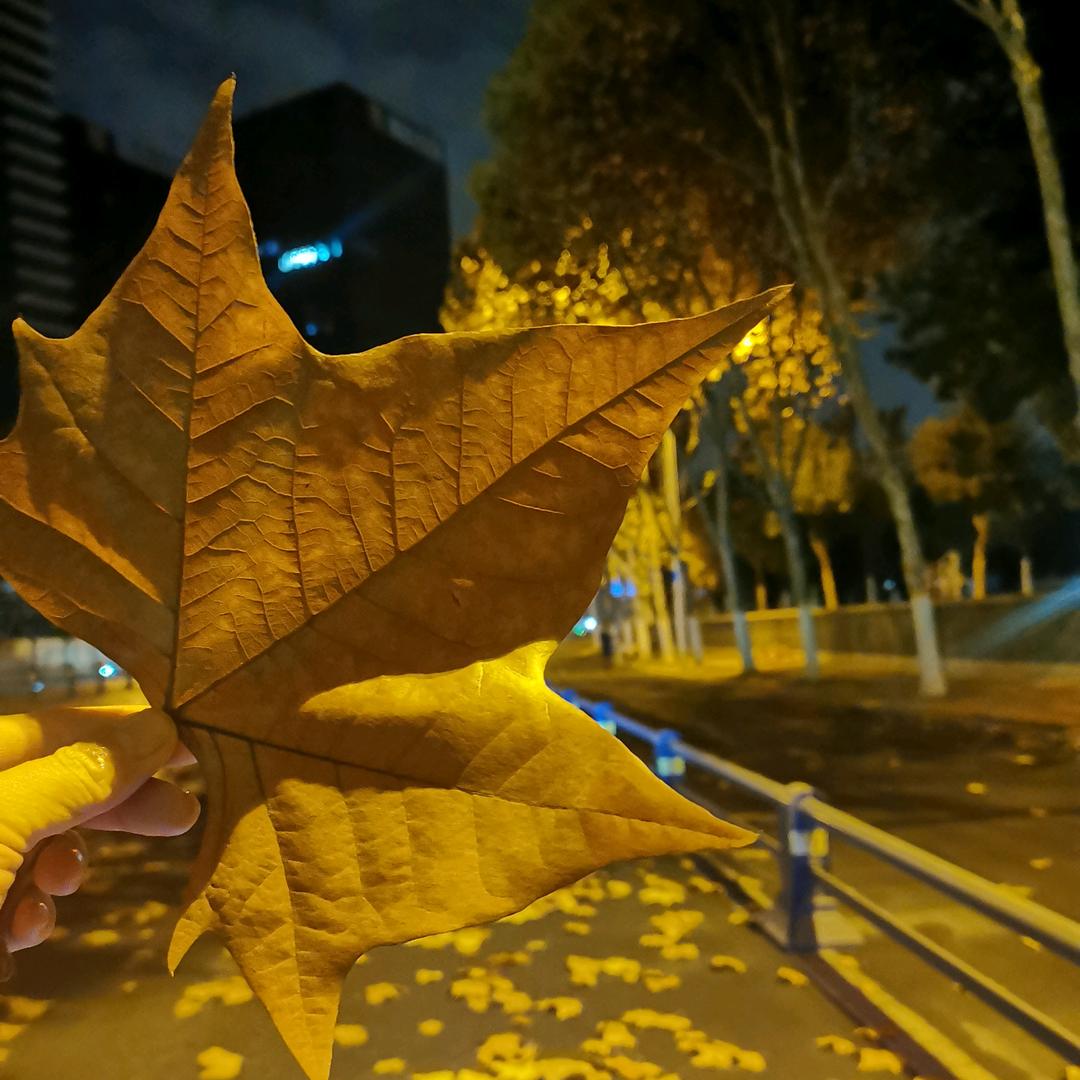 @L&S  美甲工作室（涨粉中