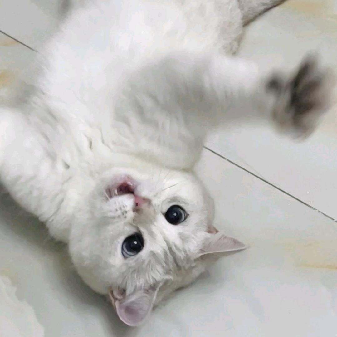 多财多亿💐💐