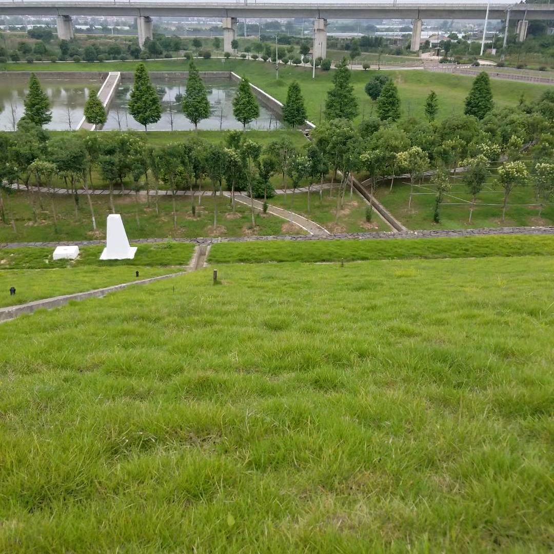阳光哥