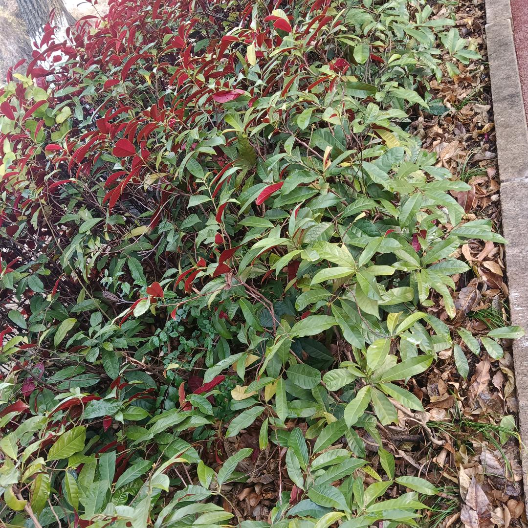 福气满满