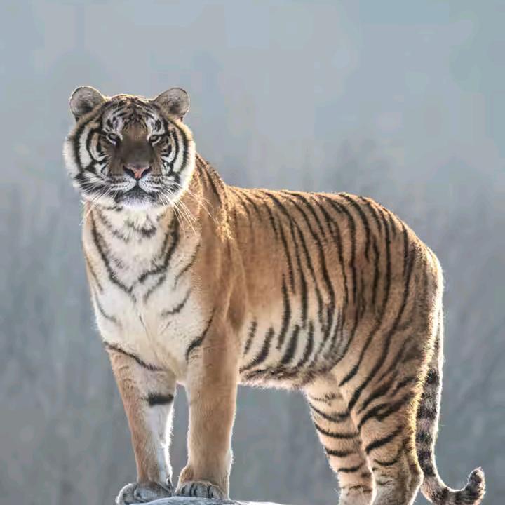 手握风云