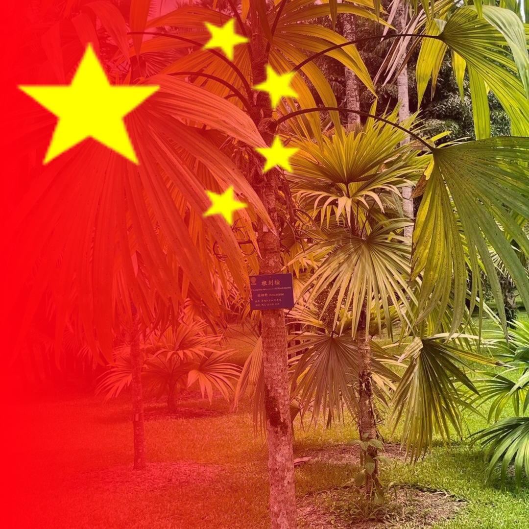 时光若水