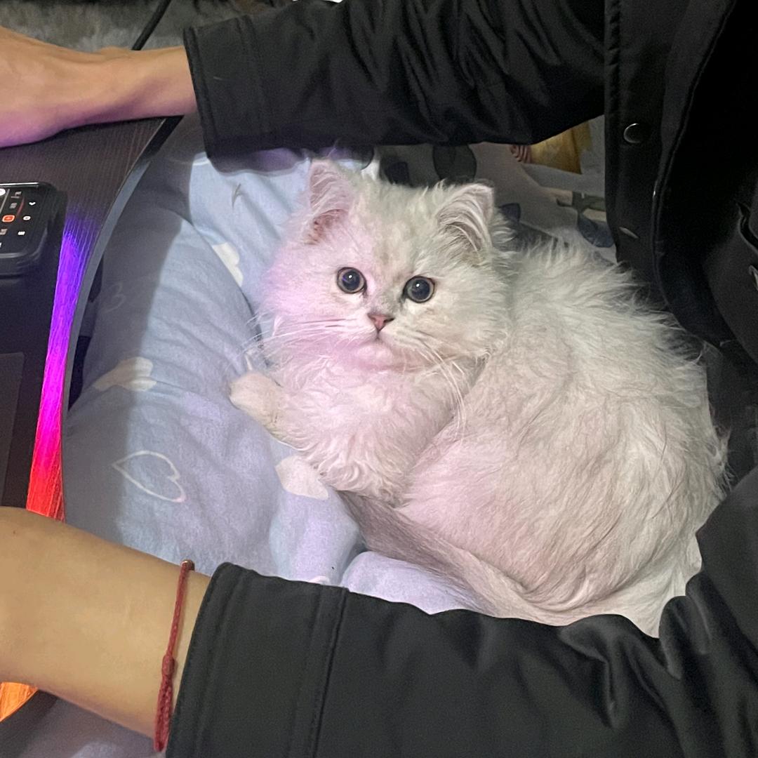 修行