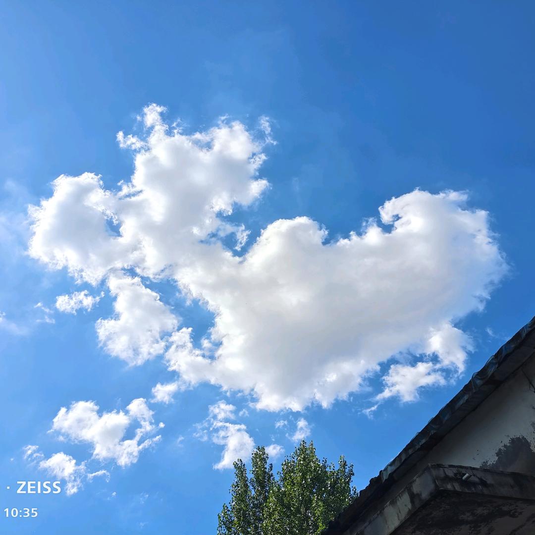 姜泽凯