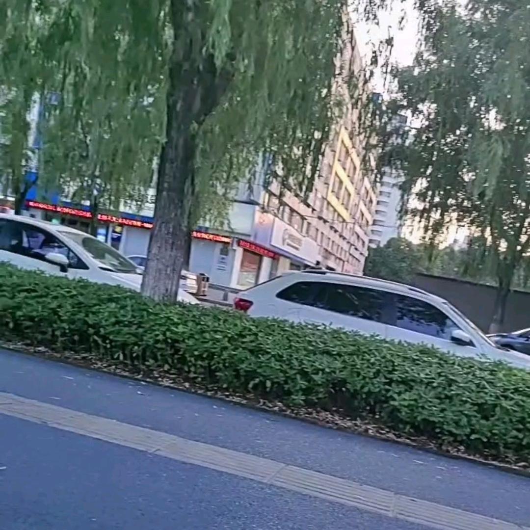 感悟生活好物