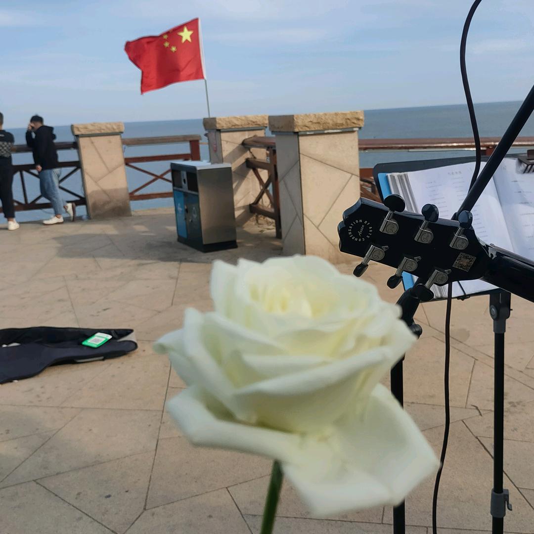小鲍同志