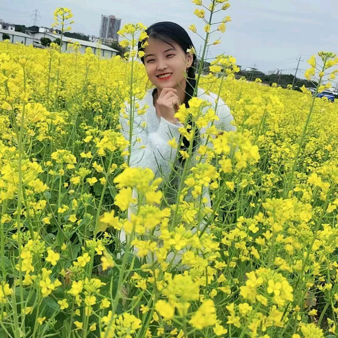 梦缘🦄