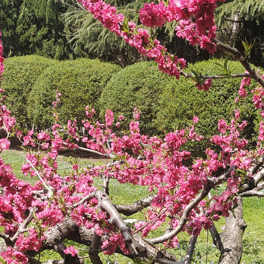 穿越古代去种田