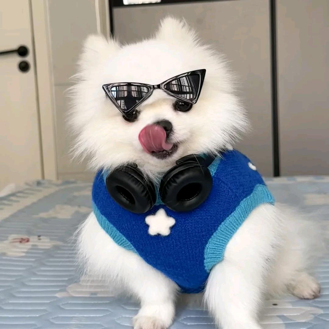 萌多多