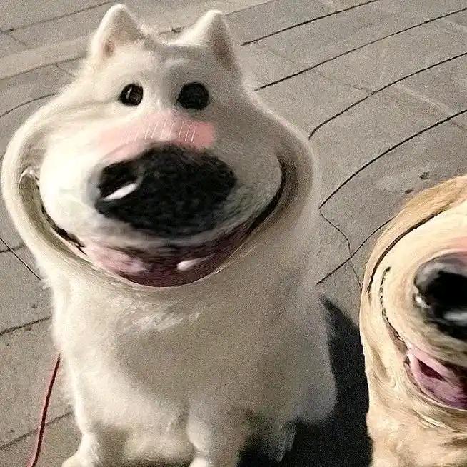 呐呐v