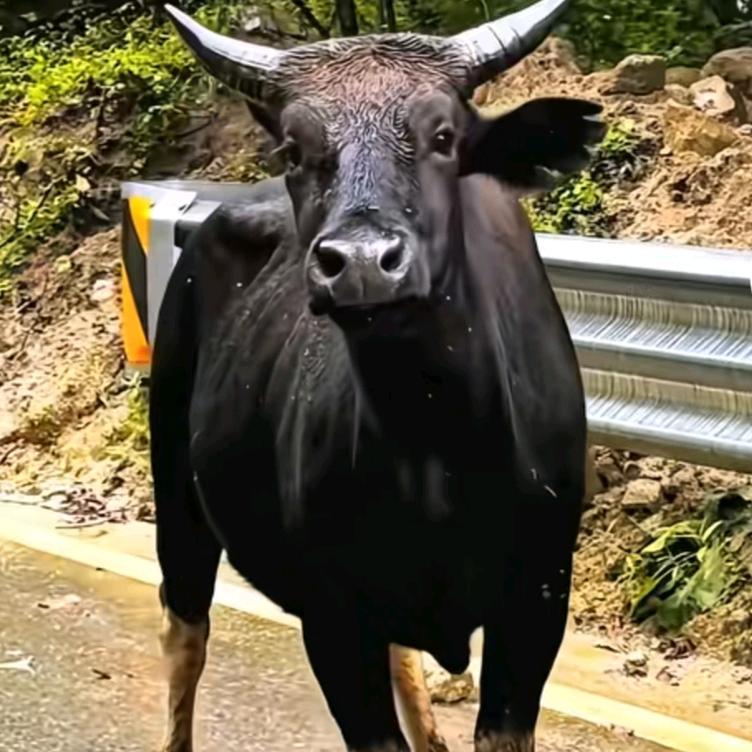 微光拾梦