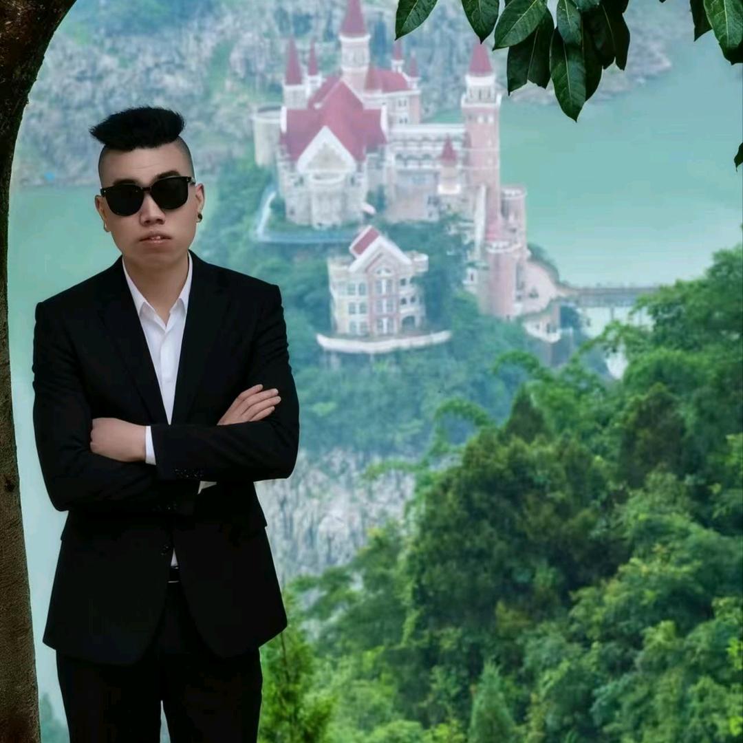 刘总