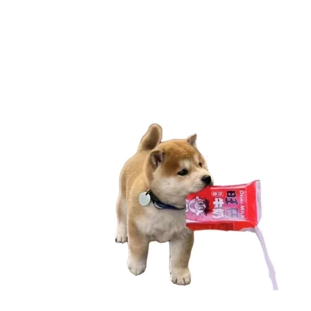见春天……