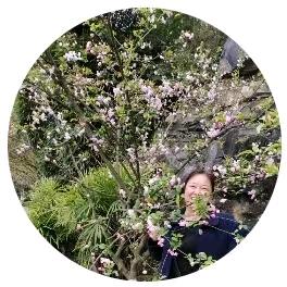 春